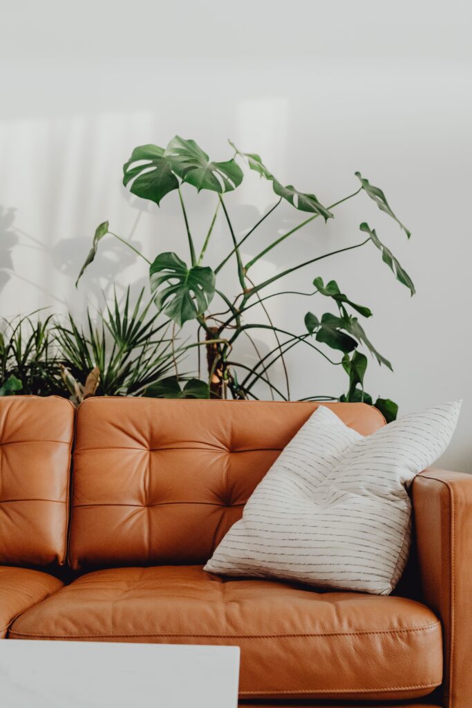 A cozy living room featuring a modern leather sofa, decorative pillow, and lush houseplants.