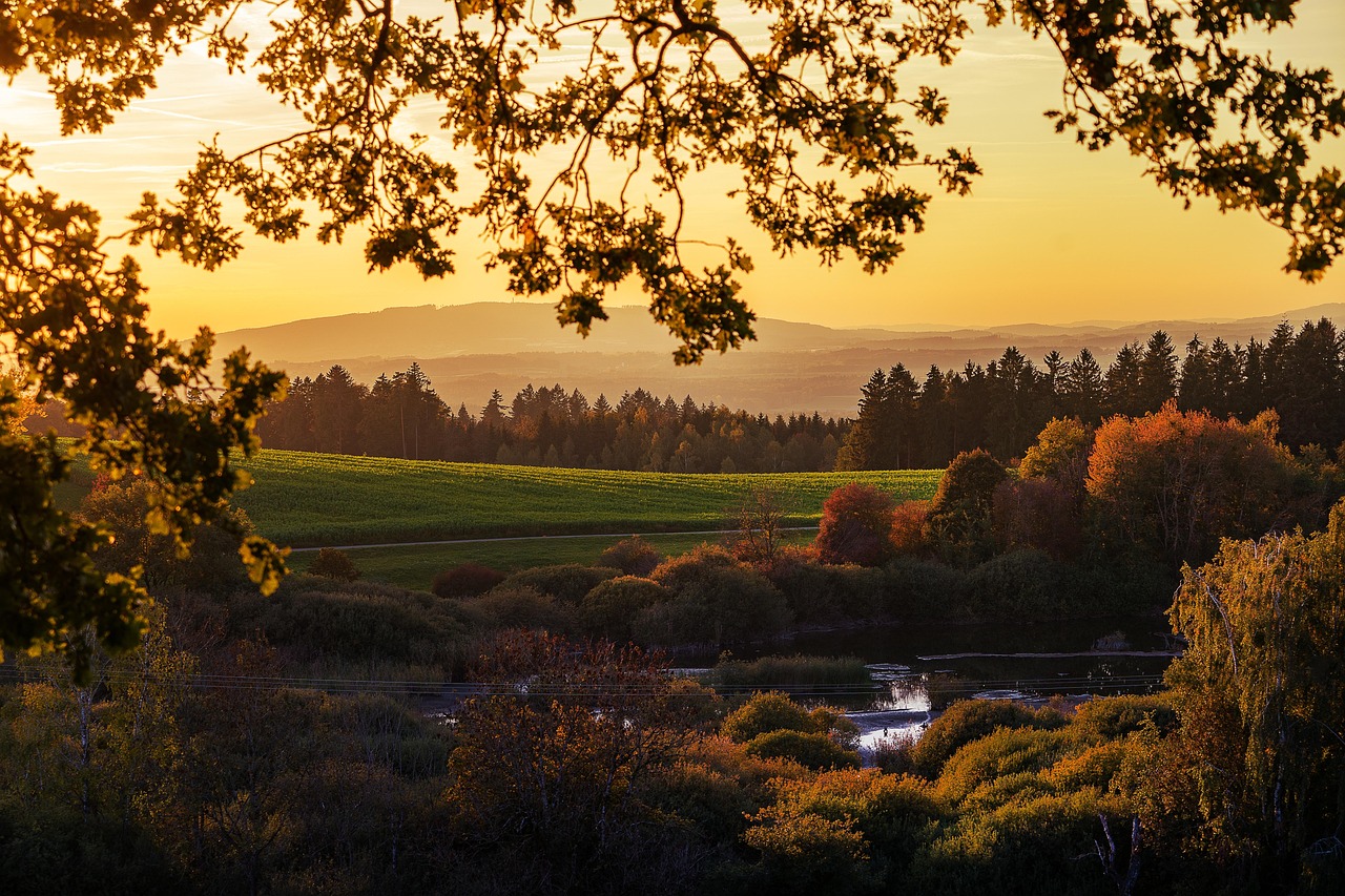 Autumn mountain landscape representing counseling for adults
